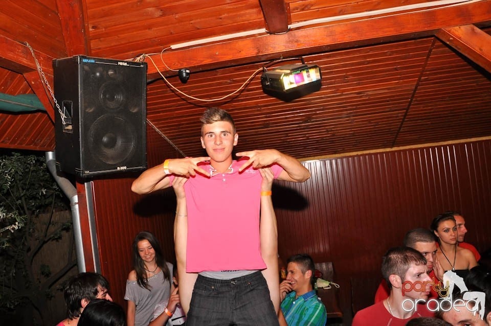 VV Party în Disco Faház,