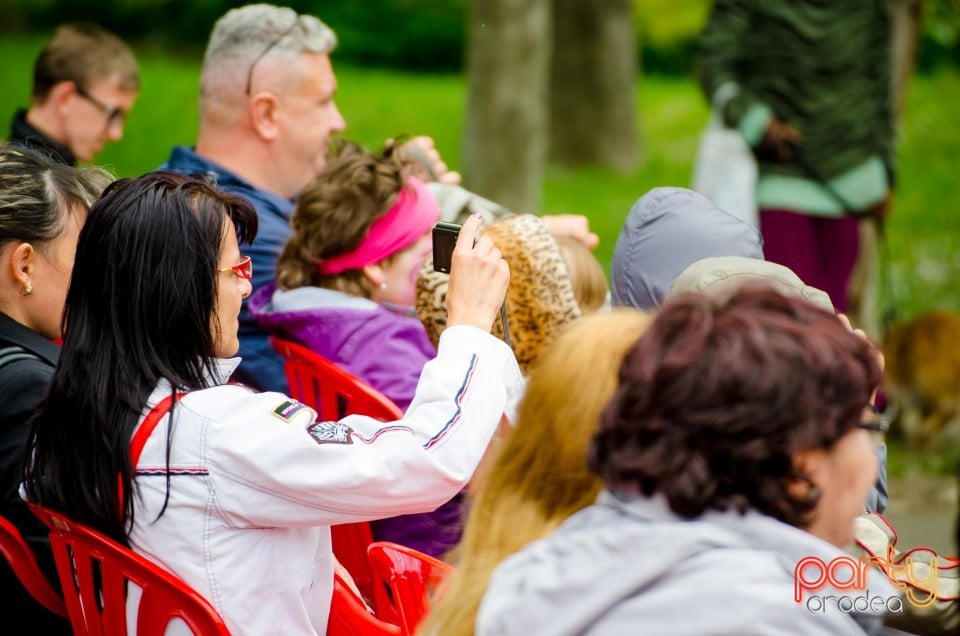 Weekend-ul Copiilor în Parcul Bălcescu, Oradea