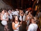 White Party în tramvai