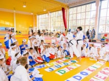 WORLD Judo Day 2016