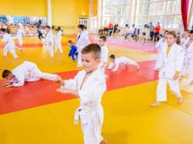 WORLD Judo Day 2016