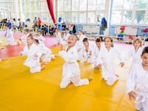 WORLD Judo Day 2016