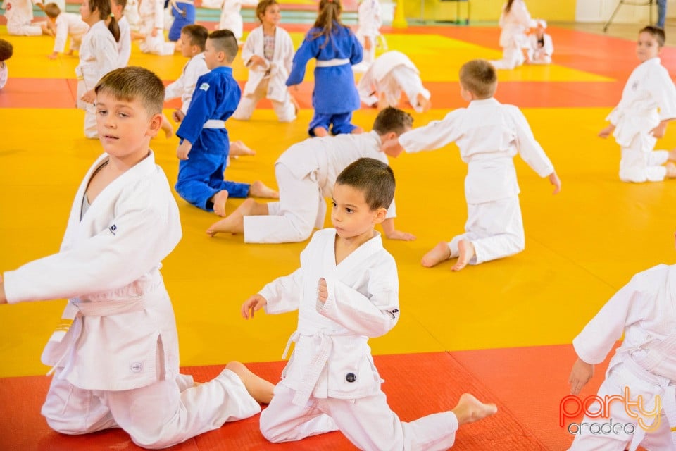 WORLD Judo Day 2016, Liceul cu Program Sportiv