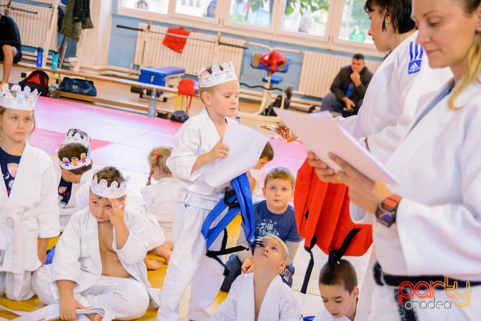 WORLD Judo Day 2016, Liceul cu Program Sportiv