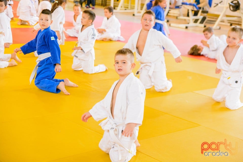 WORLD Judo Day 2016, Liceul cu Program Sportiv