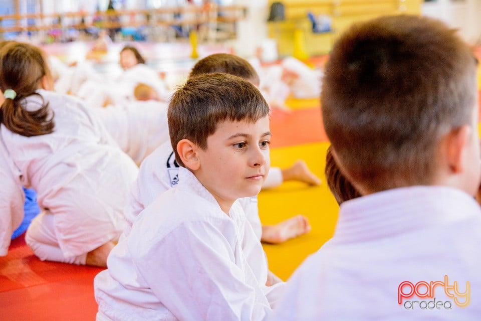 WORLD Judo Day 2016, Liceul cu Program Sportiv