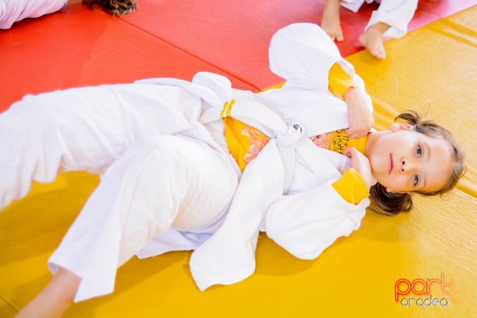 WORLD Judo Day 2016, Liceul cu Program Sportiv