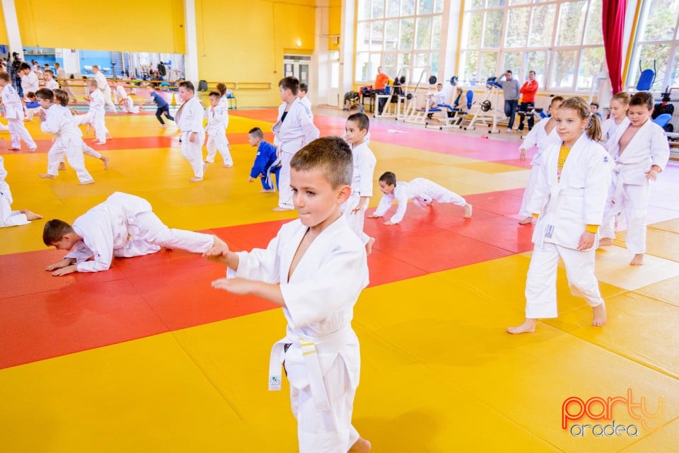 WORLD Judo Day 2016, Liceul cu Program Sportiv