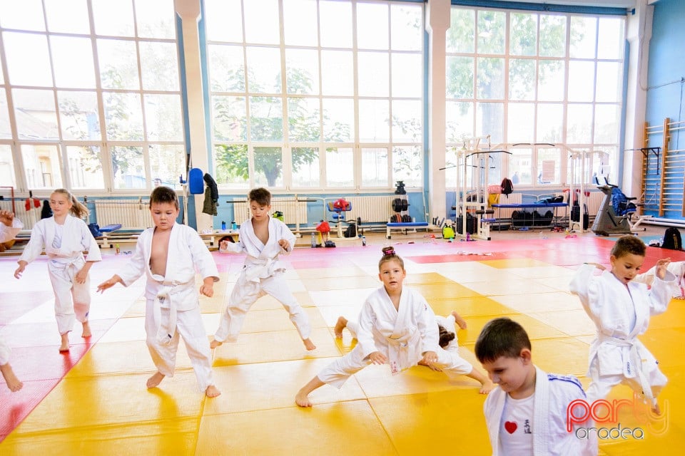 WORLD Judo Day 2016, Liceul cu Program Sportiv