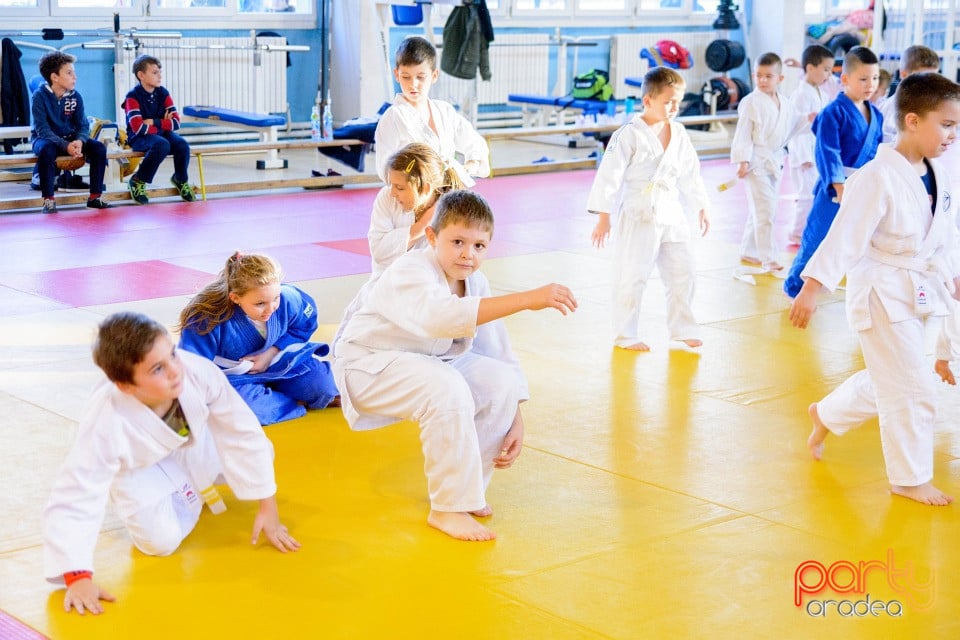 WORLD Judo Day 2016, Liceul cu Program Sportiv