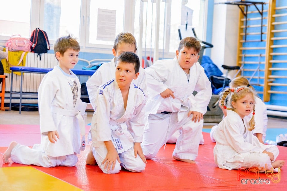 WORLD Judo Day 2016, Liceul cu Program Sportiv