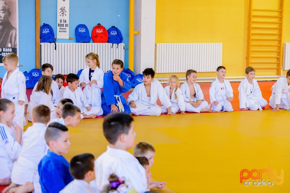 WORLD Judo Day 2016, Liceul cu Program Sportiv