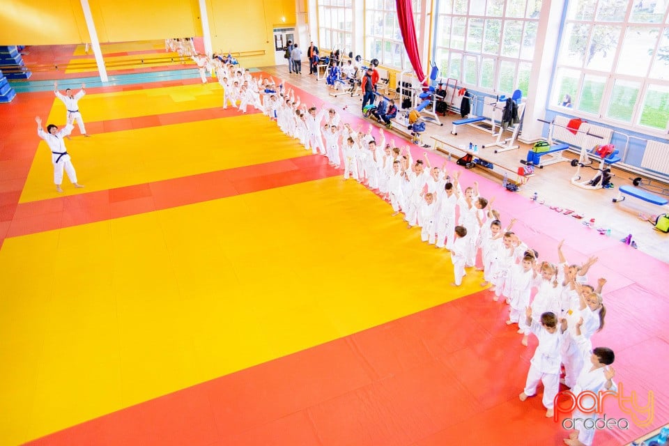 WORLD Judo Day 2016, Liceul cu Program Sportiv