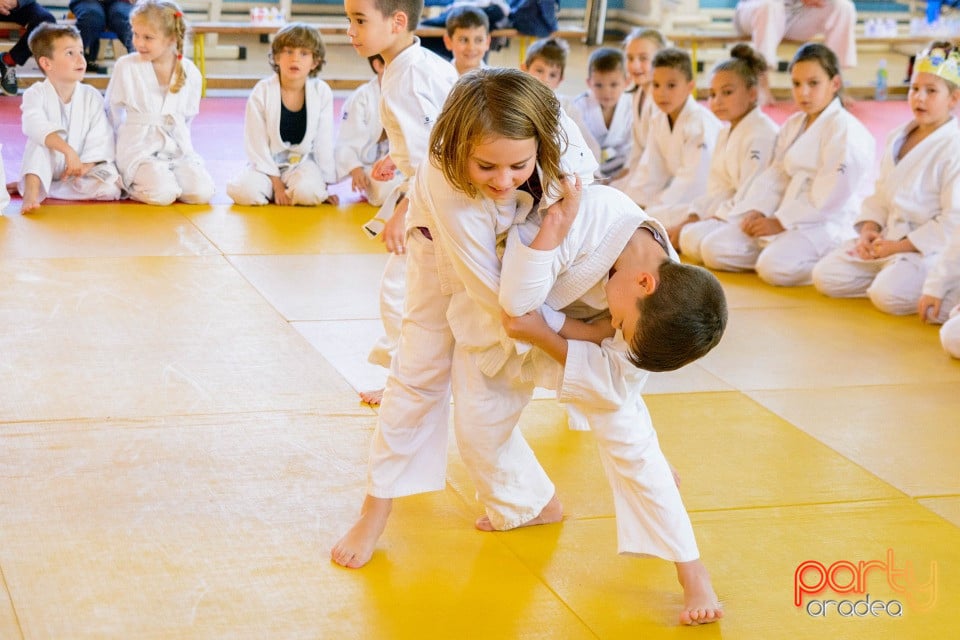 WORLD Judo Day 2016, Liceul cu Program Sportiv