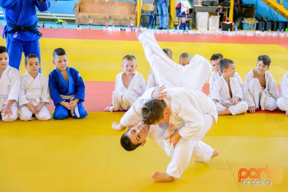 WORLD Judo Day 2016, Liceul cu Program Sportiv