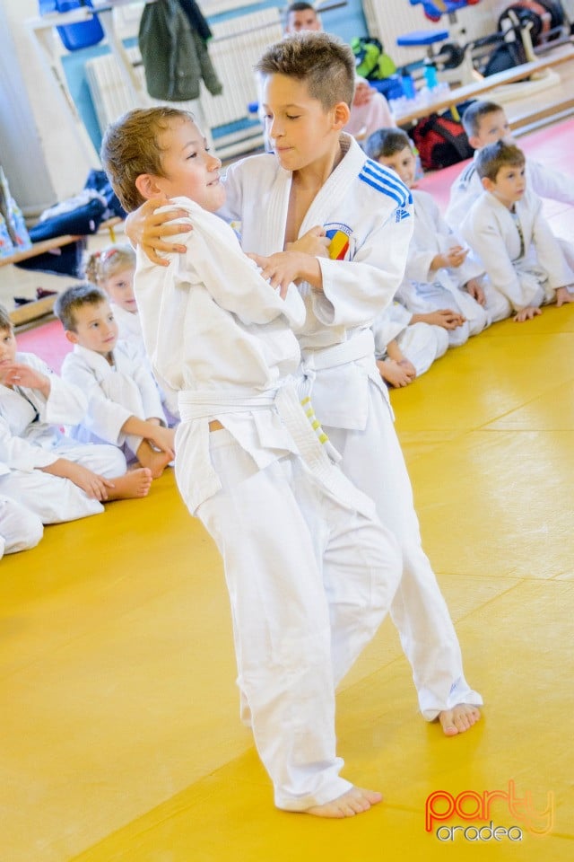 WORLD Judo Day 2016, Liceul cu Program Sportiv