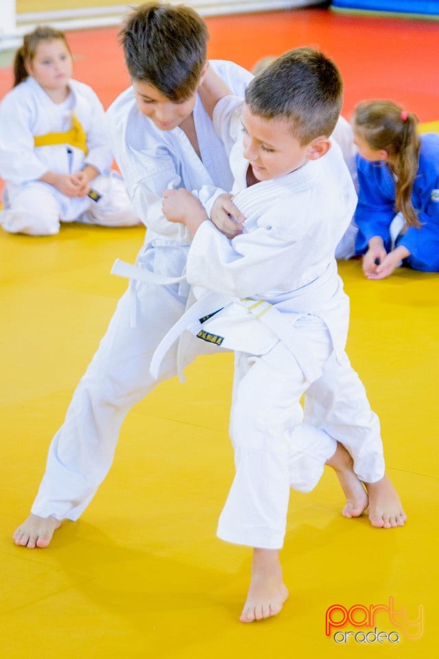 WORLD Judo Day 2016, Liceul cu Program Sportiv