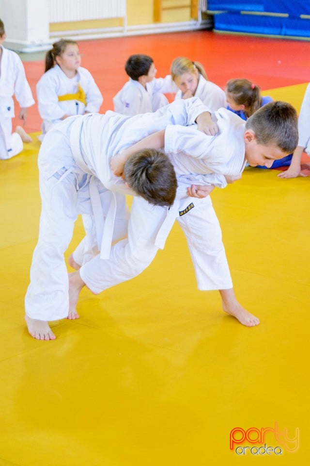 WORLD Judo Day 2016, Liceul cu Program Sportiv