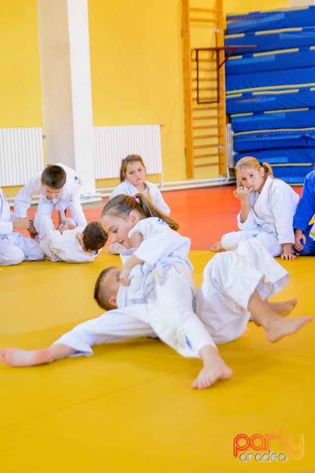 WORLD Judo Day 2016, Liceul cu Program Sportiv