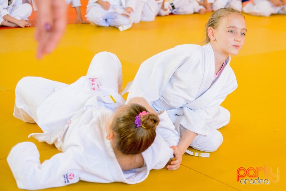 WORLD Judo Day 2016, Liceul cu Program Sportiv