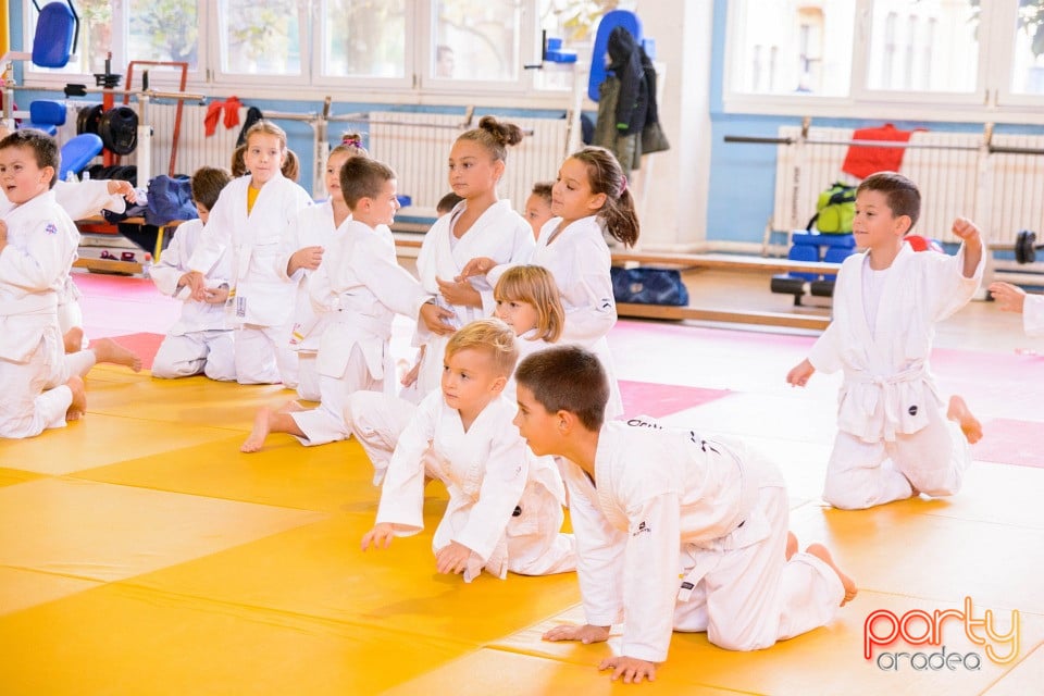 WORLD Judo Day 2016, Liceul cu Program Sportiv