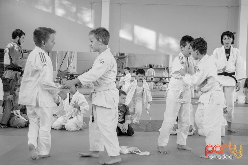 WORLD Judo Day 2016, Liceul cu Program Sportiv