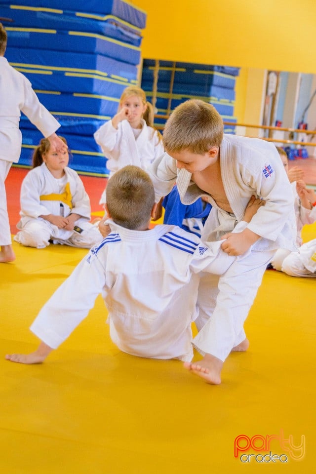 WORLD Judo Day 2016, Liceul cu Program Sportiv