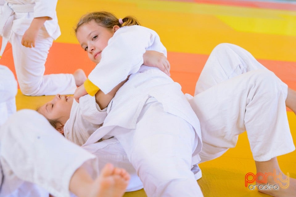 WORLD Judo Day 2016, Liceul cu Program Sportiv