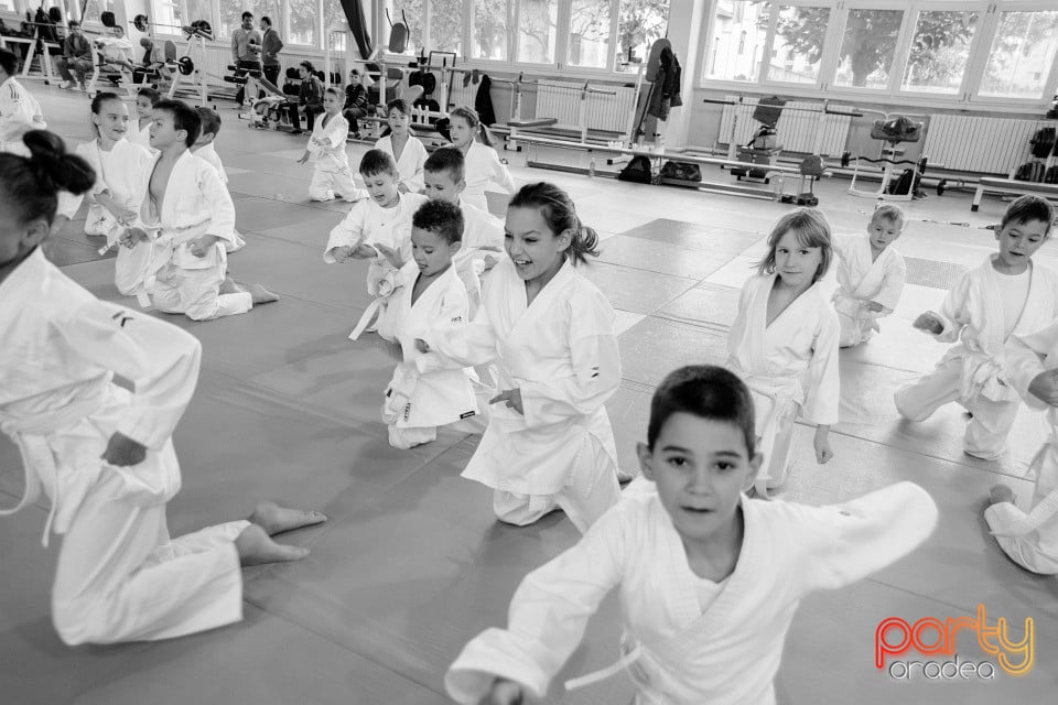 WORLD Judo Day 2016, Liceul cu Program Sportiv