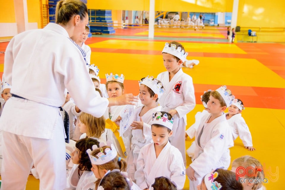 WORLD Judo Day 2016, Liceul cu Program Sportiv