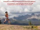 XTERRA Sport Bihor