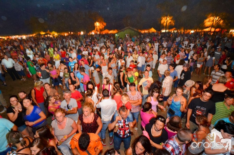 Zilele Comunei Cetariu: concert Janicsák Veca,