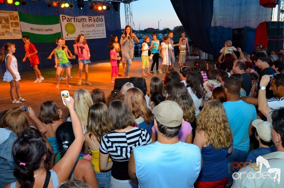 Zilele Comunei Cetariu: concert Janicsák Veca,