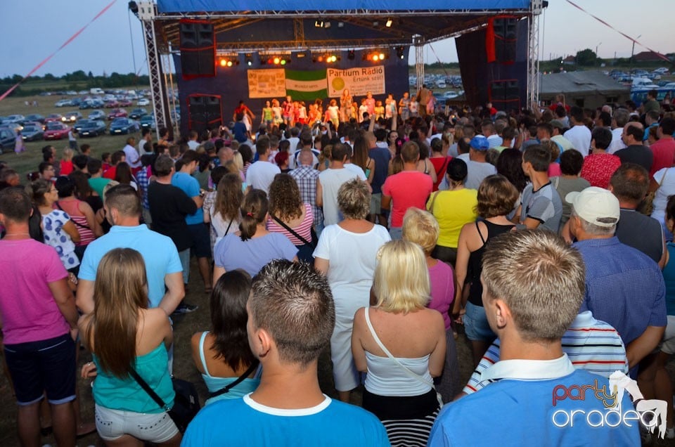 Zilele Comunei Cetariu: concert Janicsák Veca,