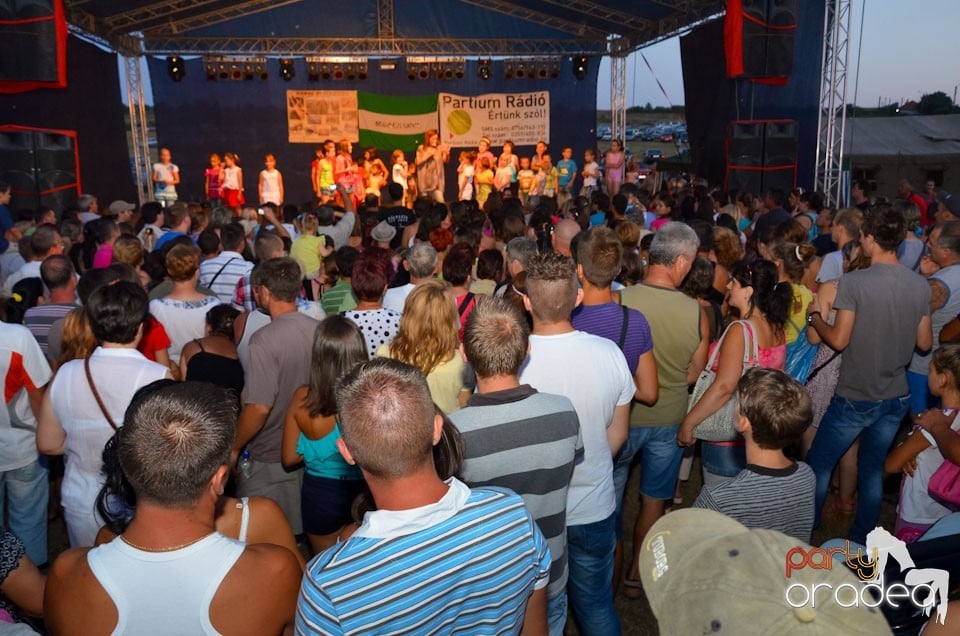 Zilele Comunei Cetariu: concert Janicsák Veca,