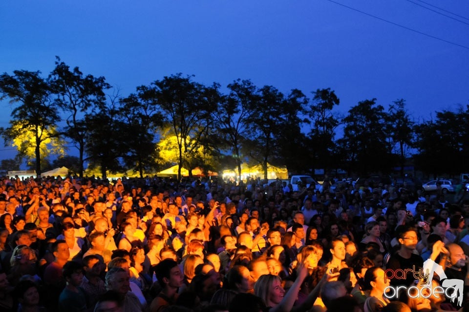 Zilele Comunei Cetariu: concert Janicsák Veca,