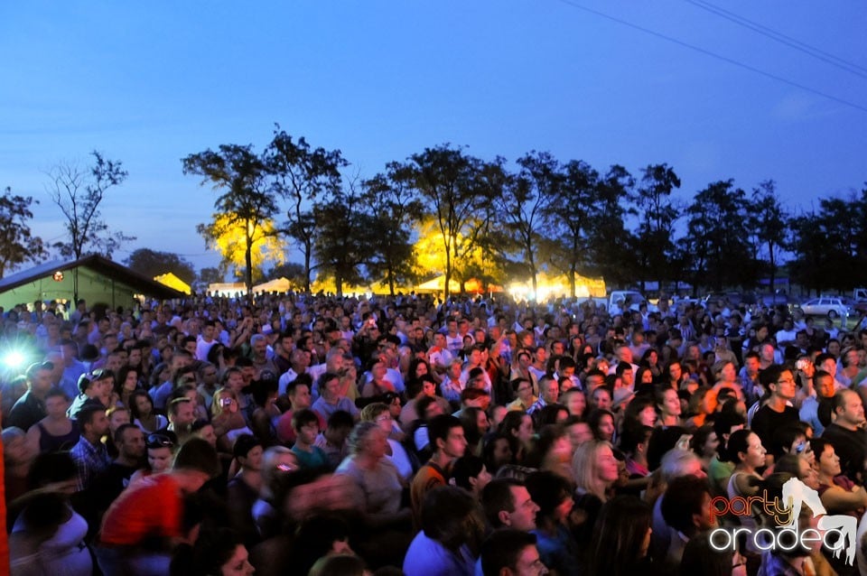 Zilele Comunei Cetariu: concert Janicsák Veca,