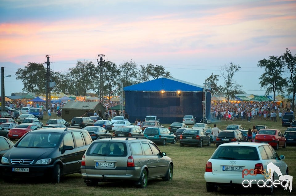 Zilele Comunei Cetariu: concert Janicsák Veca,