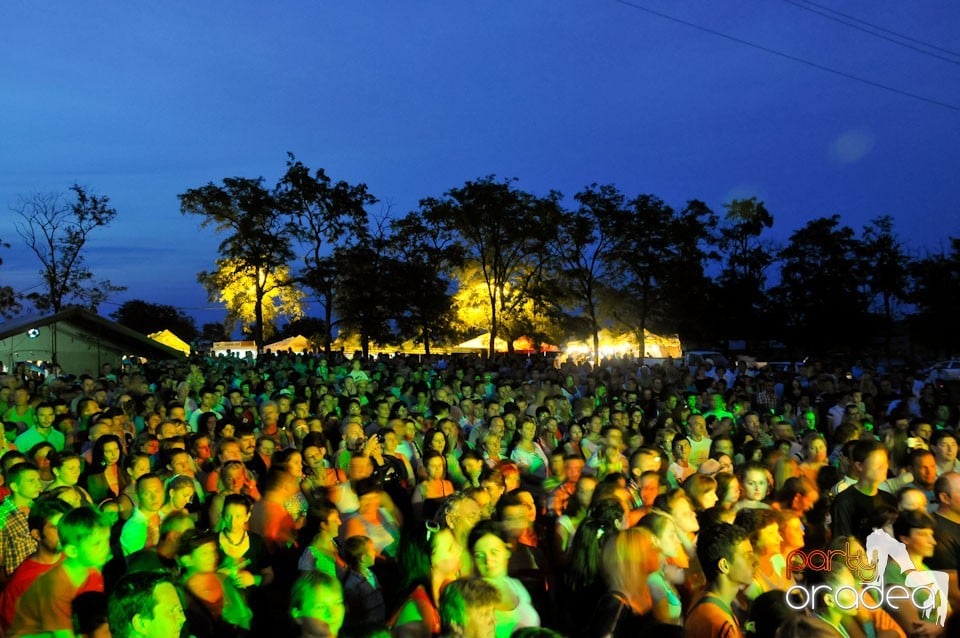 Zilele Comunei Cetariu: concert Janicsák Veca,