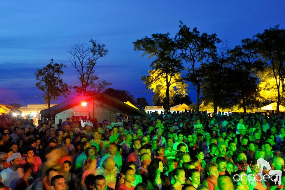 Zilele Comunei Cetariu: concert Janicsák Veca,