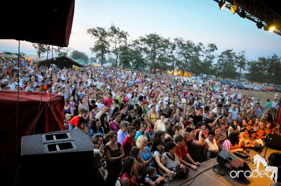 Zilele Comunei Cetariu: concert Janicsák Veca,