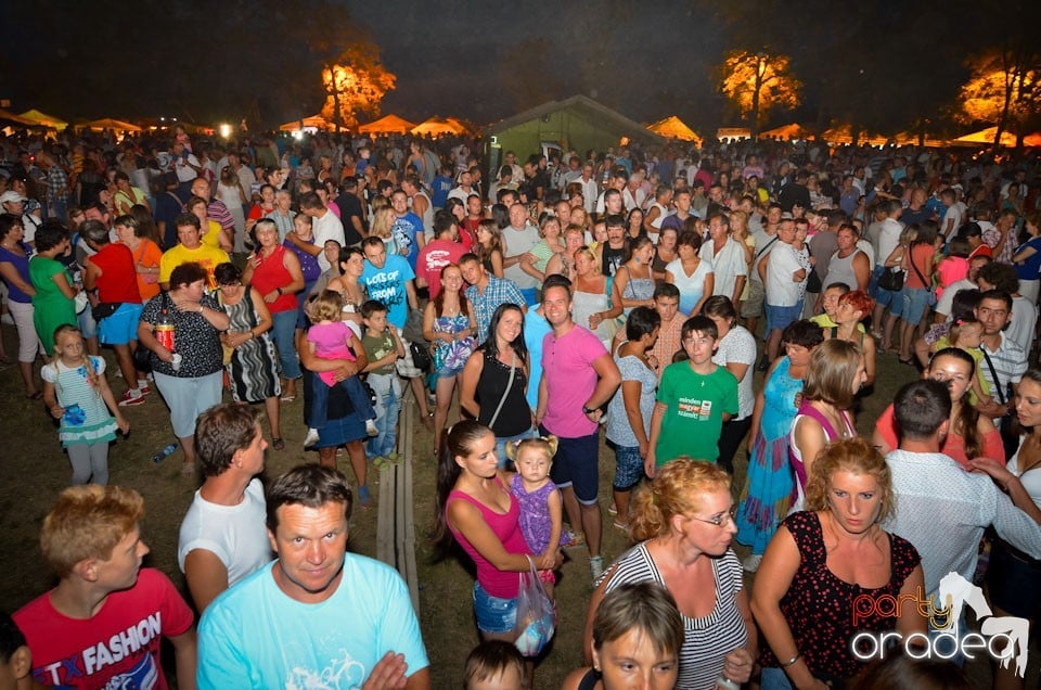 Zilele Comunei Cetariu: concert Janicsák Veca,