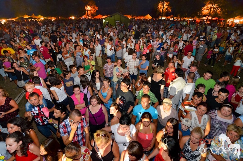 Zilele Comunei Cetariu: concert Janicsák Veca,