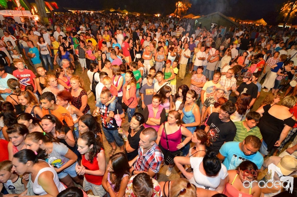 Zilele Comunei Cetariu: concert Janicsák Veca,
