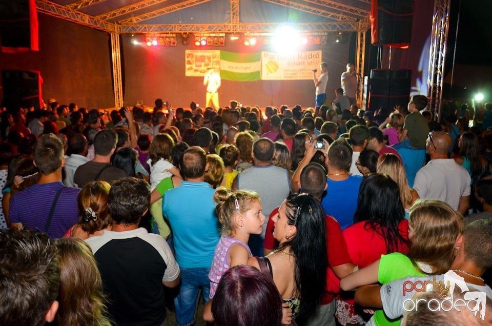 Zilele Comunei Cetariu: concert Takács Nikolas,