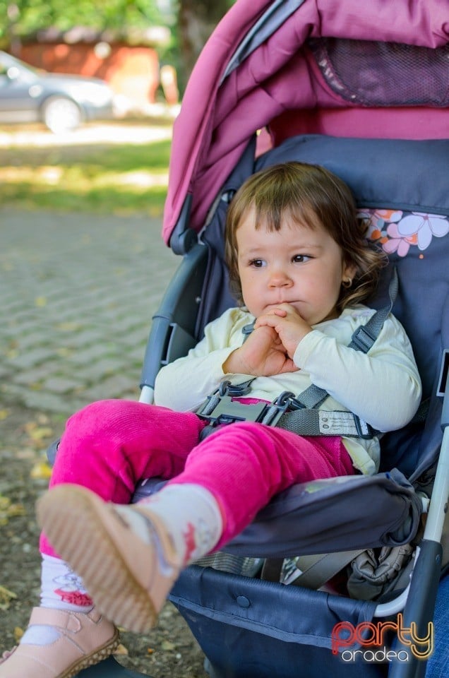 Ziua Copiilor în Parcul Bălcescu, Oradea