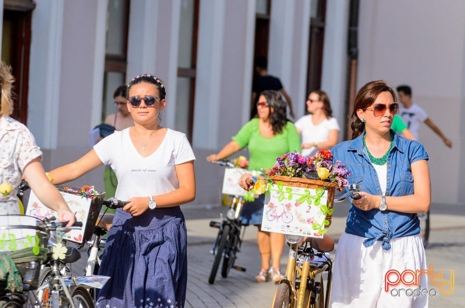 Biciclete Cochete, Oradea
