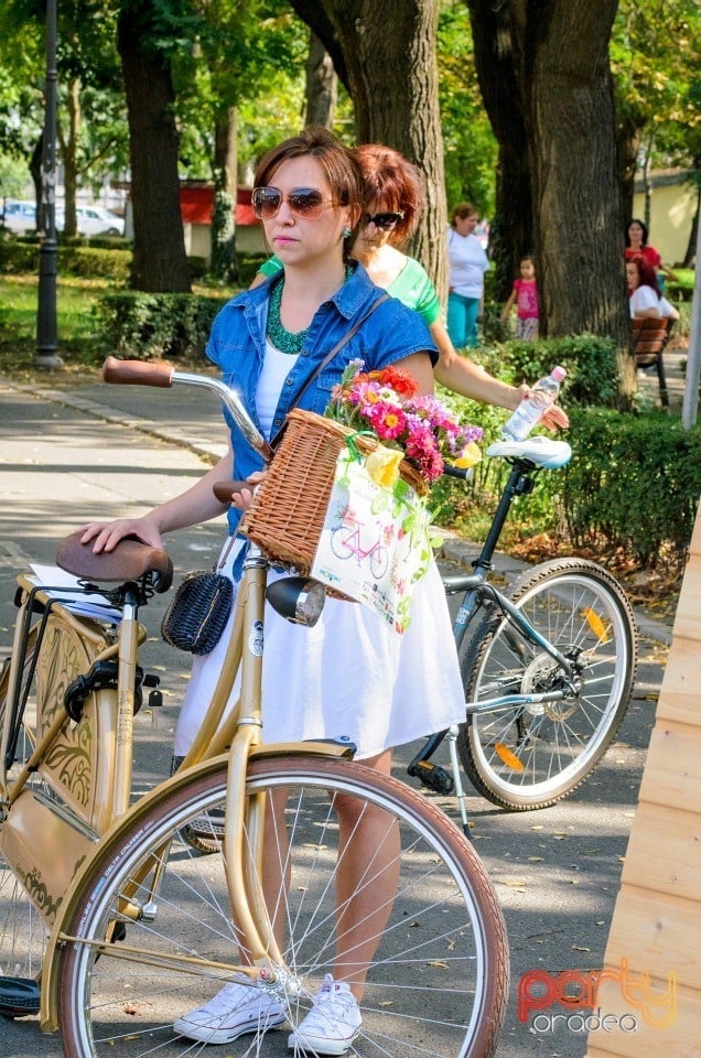 Biciclete Cochete, Oradea