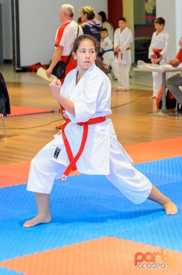 Campionat Internaţional de Karate, 