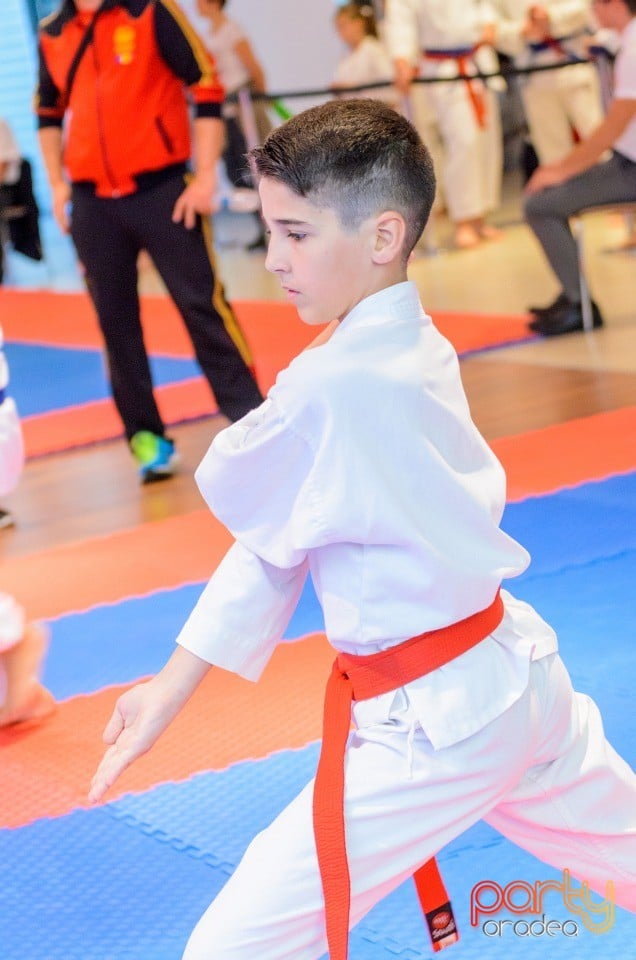 Campionat Internaţional de Karate, 